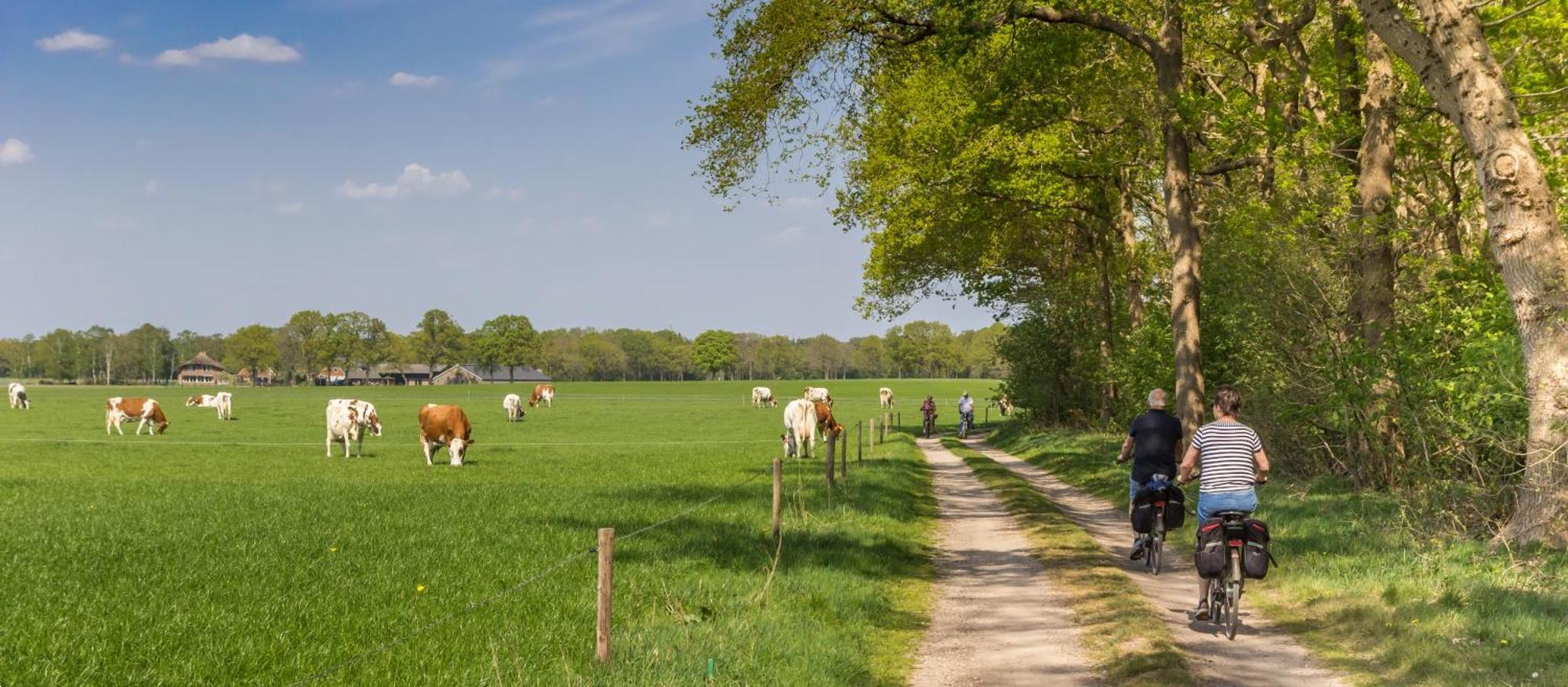 Resort Bad Boekelo Enschede Exteriér fotografie